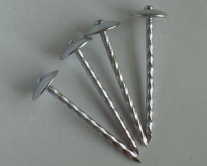Galvanized Roofing Nails