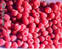 Red Raspberry Extract(sales5 at lgberry dot com dot cn )