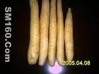 Wild Yam Extract(sales5 at lgberry dot com dot cn )