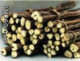 Licorice Extract(sales5 at lgberry dot com dot cn )