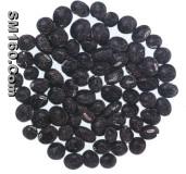 Black soybean hull extract(sales5 at lgberry dot com dot cn )