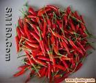 capsaicin (sales25 at lgberry dot com dot cn)