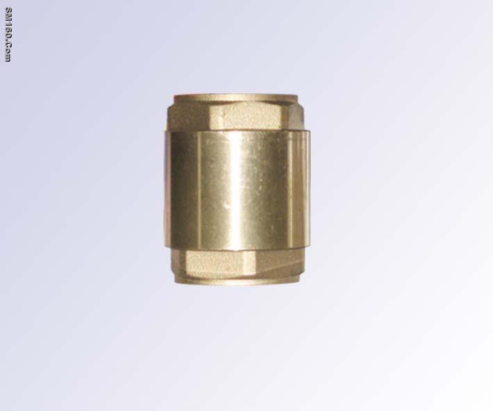Check valve