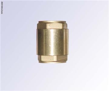 Check valve