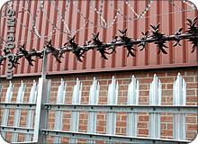 Wall Spikes