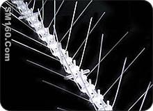 Bird Spikes 