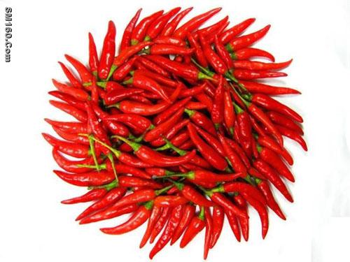 pepper