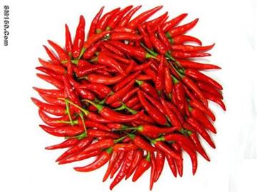pepper
