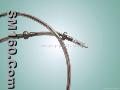 Temperature probes for animal
