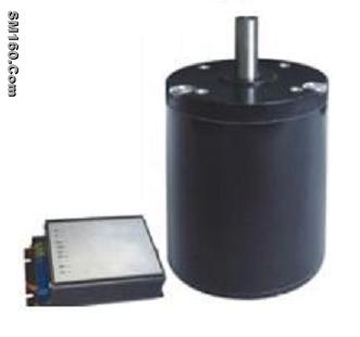 Brushless DC motor