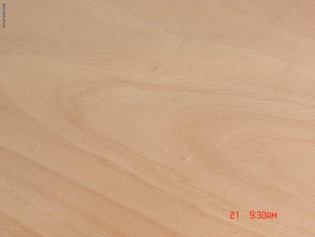 Rotary Okoume Veneer