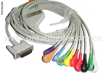 hp 10-lead snap leadwires