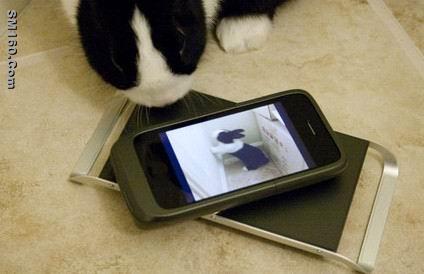 Wireless  Charger