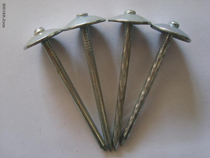Screw Roofing Nails