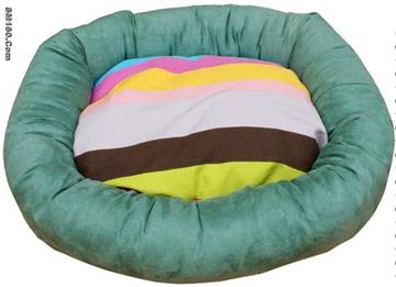 dog bed