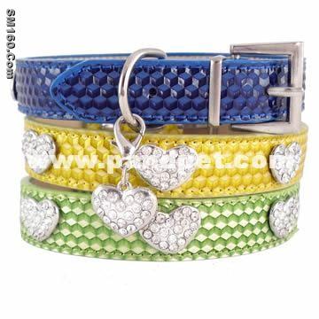 dog collar(PPF076)