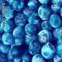blueberry anthocyanin