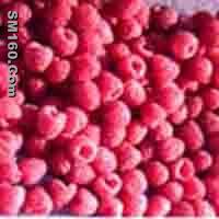 raspberry extract