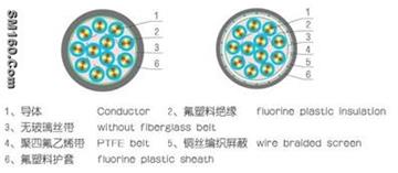 Fluorine Plastics Insulated And Sheathed