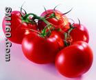 Lycopene