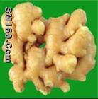 Ginger extract