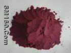 Grape Seed Extract