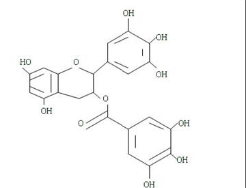 Green tea extract