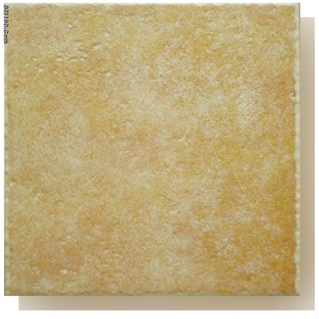 supply 300*300mm rustic tile