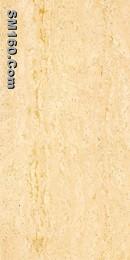 60*120cms porcelain tiles YBM2603