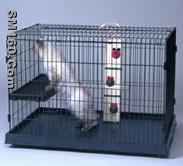 Cat Cage