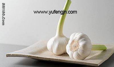 fresh garlic