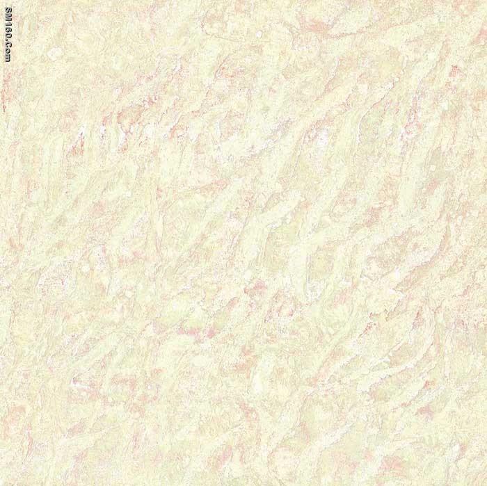 Long-Term Sale Polished Floor Tiles 50x50 60x60 80x80