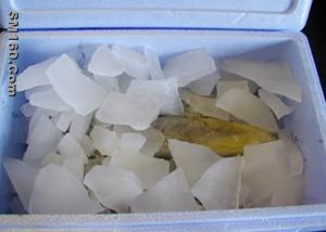 ICEMAN ICE MACHINE---YOUR BEST CHOICE