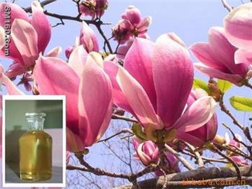 Magnolia oil