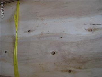 eucalyptus core veneers