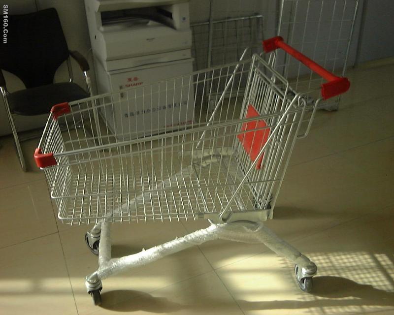 Shopping cart 1