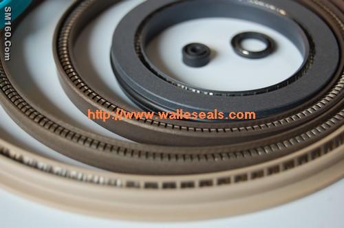 Spring energized seals