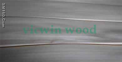 white birch veneer