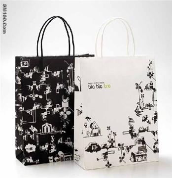 supply paper shopping bag (17E)
