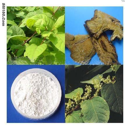 Resveratrol 