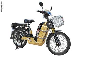 TY electric bike