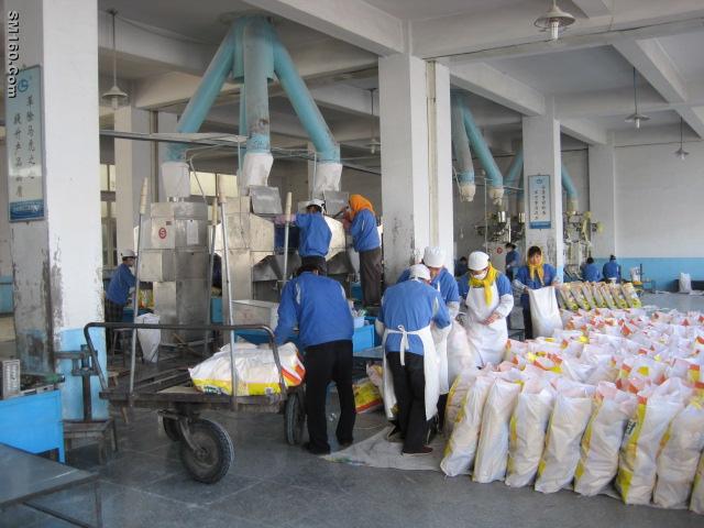 detergent powder/washing powder