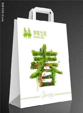 supply paper shopping bag (28E)