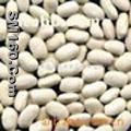 White Kidney Bean P.E.