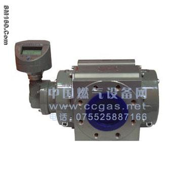 gas mass flow meter