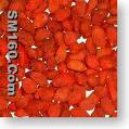  wolfberry color (sophie@healthynaturalcolor.com)