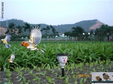 Solar Bird Repeller supplier in china