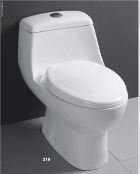 Entirety Toilet
