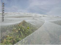 Agricultural Olive Net