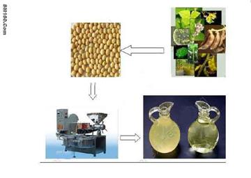 oil press machine